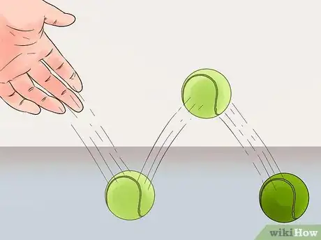 Image titled Play Fetch with a Ferret Step 4