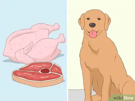 Image titled Treat Campylobacter Step 2