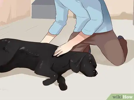 Image titled Treat Dog Anxiety with Pheromone Therapy Step 3