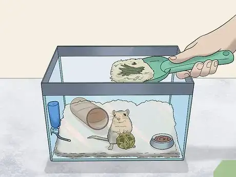 Image titled Make a Comfortable Gerbil Home Step 12