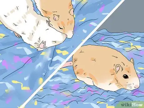 Image titled Buy a Gerbil Step 11