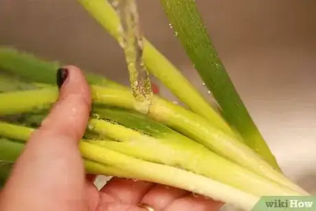 Image titled Use Green Onions Step 1