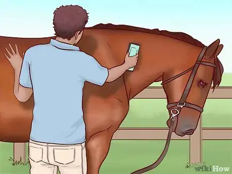 Image titled Compete in an English Pleasure Class Step 6