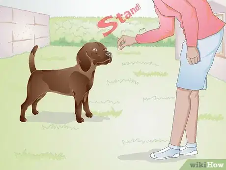 Image titled Train a Dog to Stand Up Step 10