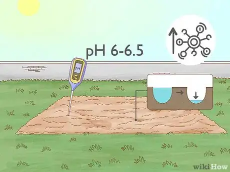 Image titled Grow Irish Potatoes Step 1