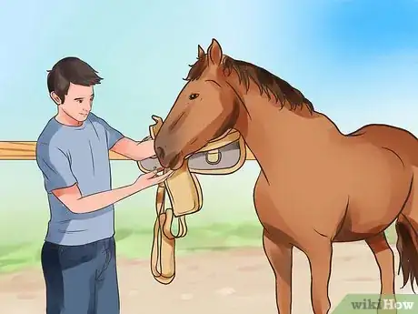 Image titled Be Comfortable Around a Bad‐Tempered Horse Step 25