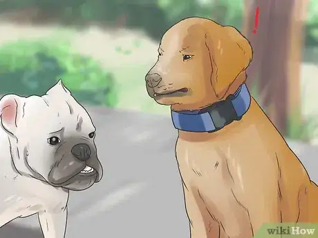 Image titled Socialize Your Dog Step 4