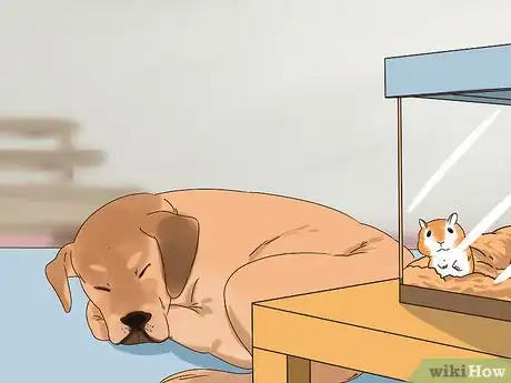 Image titled Keep a Gerbil Safe Around Other Pets Step 9