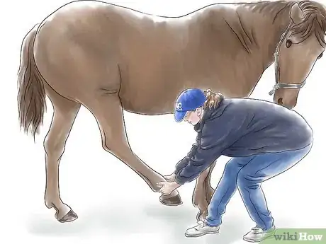 Image titled Stretch a Horse Step 10