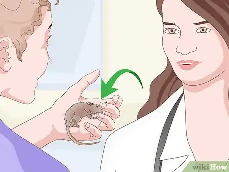 Image titled Exercise Your Gerbil Step 13