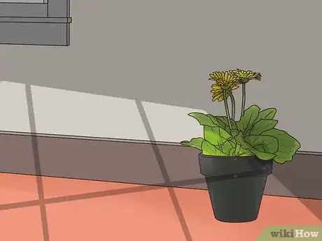 Image titled Buy Potted Flowers Step 10
