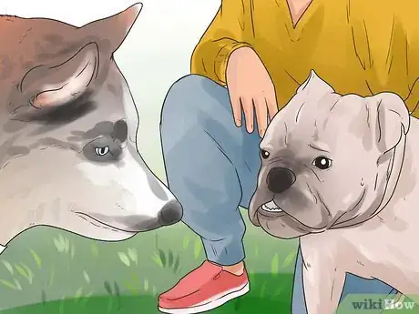 Image titled Socialize Your Dog Step 11