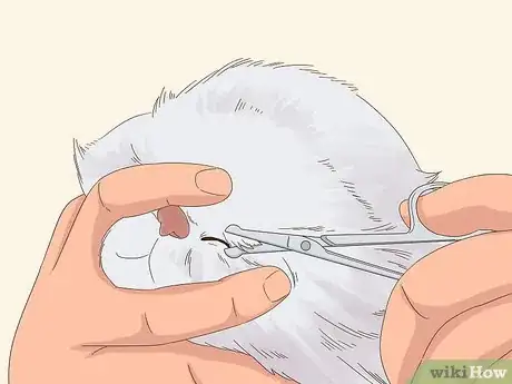 Image titled Keep Hair Out of Your Cat's Eyes Step 3