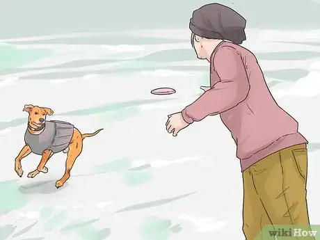 Image titled Help Your Dog Move in the Snow Step 12