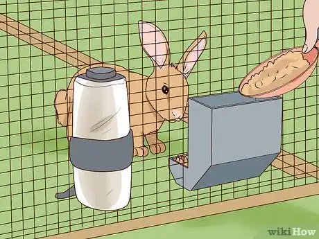 Image titled Keep Pet Rabbits Safe Step 4