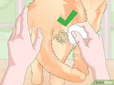 Image titled Keep Your Cat Clean Step 21