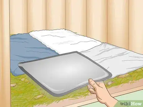 Image titled Care for an Outdoor Guinea Pig Step 21