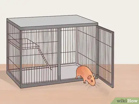 Image titled Care for a Manx Rat Step 12