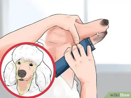 Image titled Do a Banded Dutch on a Poodle Step 2