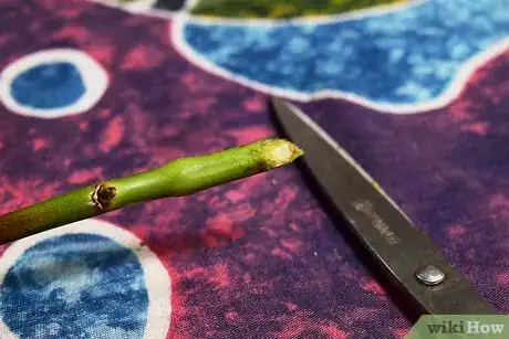 Image titled Arrange Flowers in a Large Vase Step 5