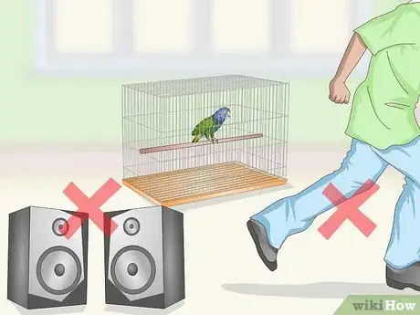 Image titled Set Up a Pionus Parrot Habitat Step 17