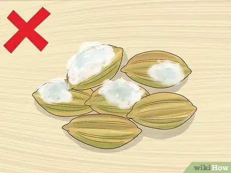 Image titled Grow Herbs Outdoors Step 3