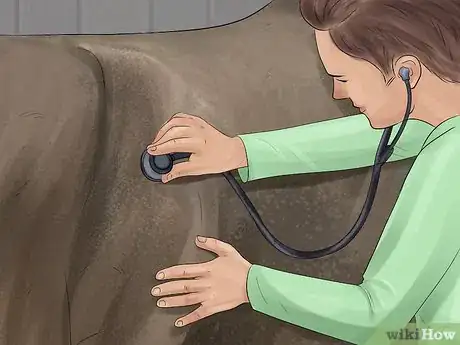 Image titled Make a Horse Move Forward Step 11