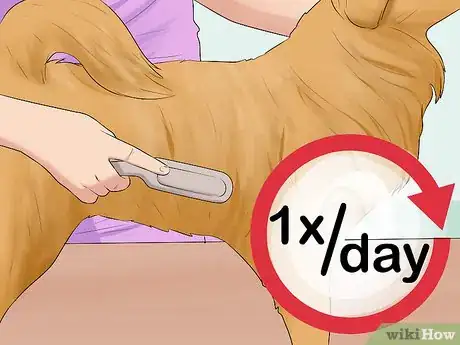 Image titled Control Shedding (Dogs) Step 1