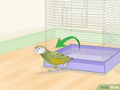 Image titled Keep a Senegal Parrot Entertained Step 8
