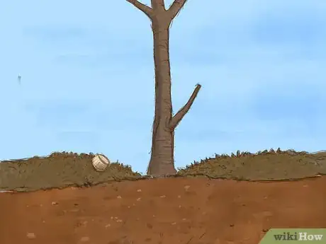 Image titled Plant a Bare Root Tree Step 11