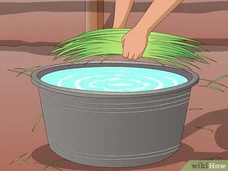 Image titled Use Water to Reduce Dust in Hay Step 1