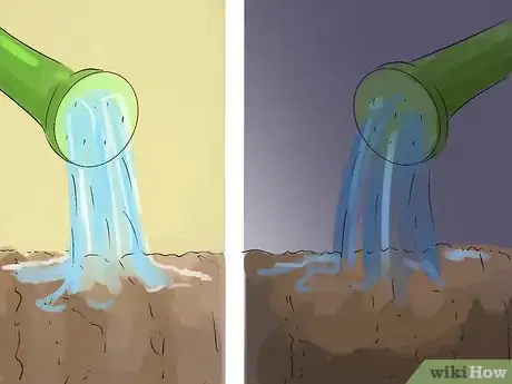 Image titled Grow Carrots in Nigeria Step 8