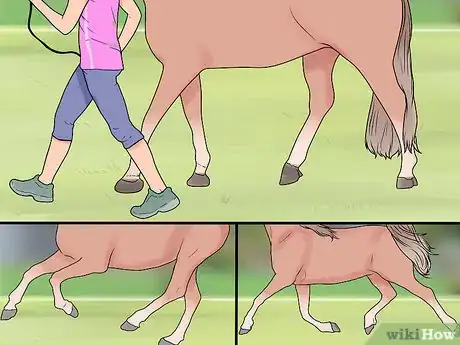 Image titled Find and Train a Barrel Horse Step 5