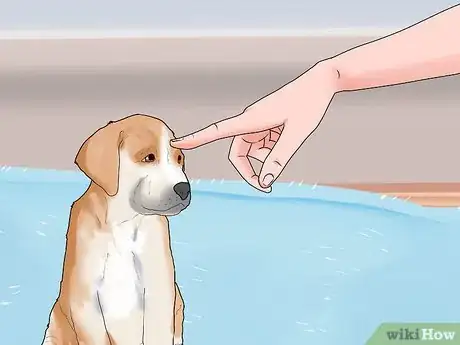 Image titled Socialize a New Dog with Your Family Step 6