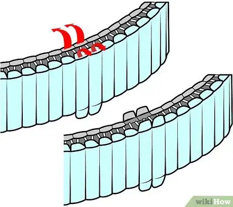 Image titled Remove Watch Band Links Step 17