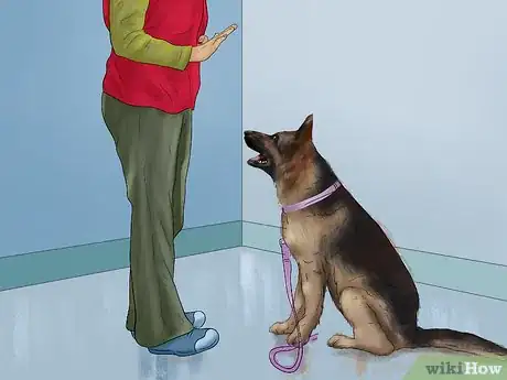 Image titled Avoid Confusing a Dog During Training Step 1