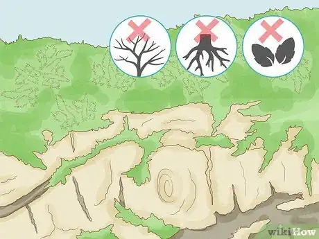 Image titled Identify Bryophytes Step 1