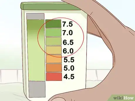Image titled Plant Turing Sunflowers Step 4