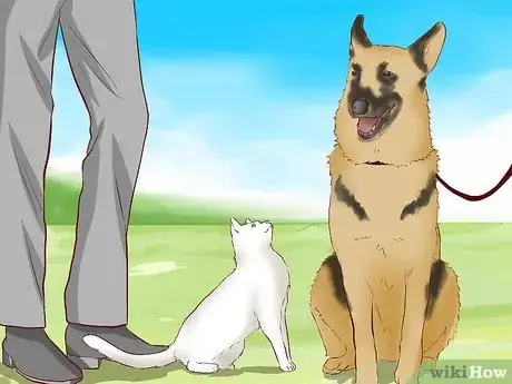 Image titled Introduce Dogs to Cats Step 5