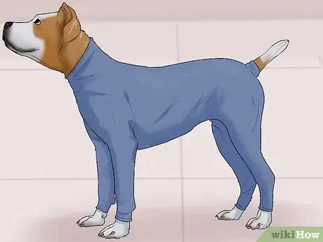 Image titled Control Shedding (Dogs) Step 4