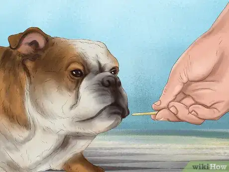 Image titled Approach an Unfamiliar Dog Step 3