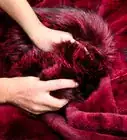 Tell the Difference Between Real Fur and Faux Fur