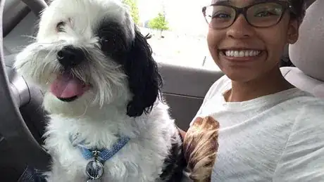 Image titled Kennedy Pet 4