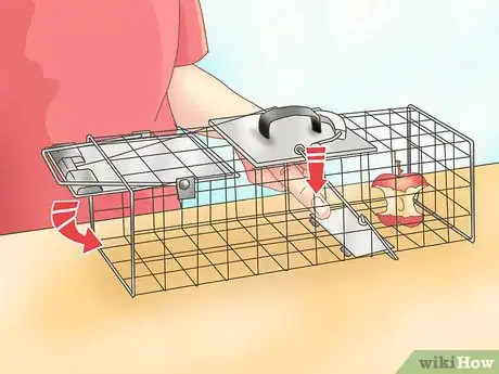 Image titled Trap a Rabbit Step 4