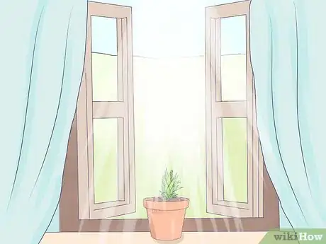 Image titled Grow Dwarf Pineapples Step 3