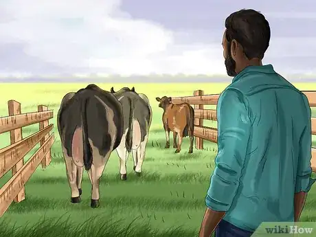 Image titled Sort Cows Step 4