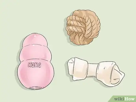 Image titled Choose Gifts for New Dog Owners Step 1