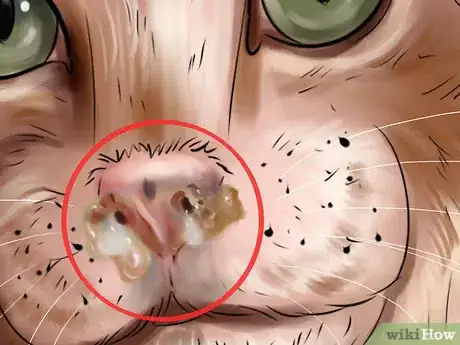 Image titled Check Your Cat's Nose Step 7