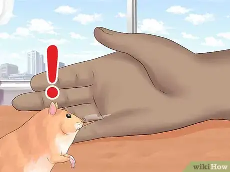 Image titled Train Your Hamster Step 14