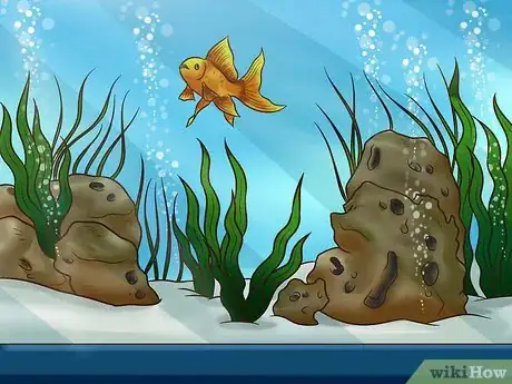 Image titled Enjoy Having Pet Fish Step 4